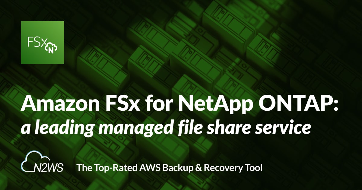 Amazon FSx for NetApp ONTAP: Functions and Use Situations
