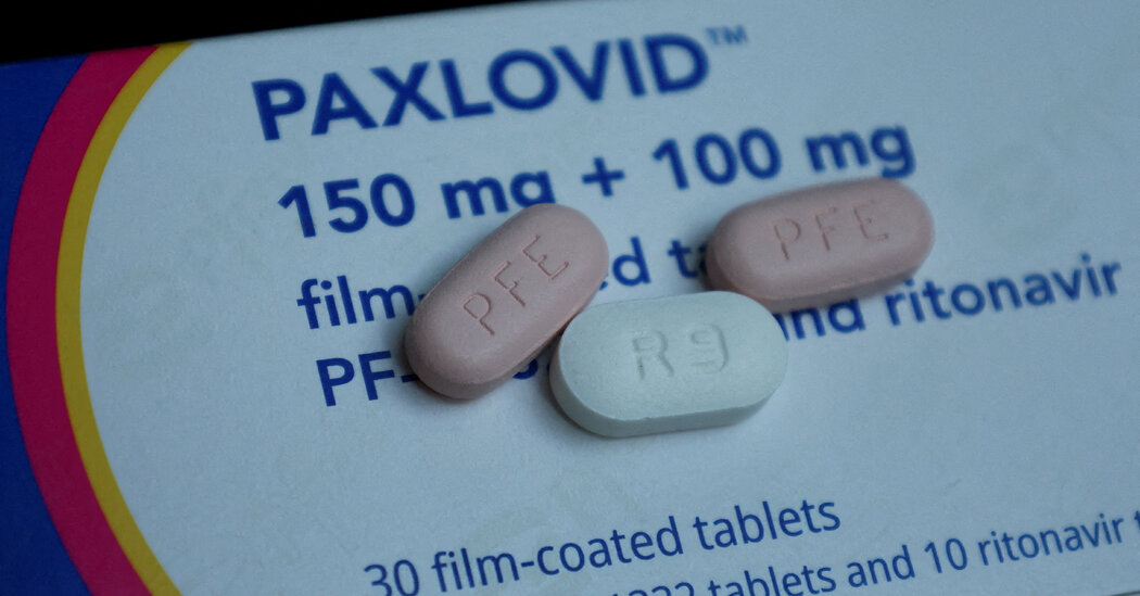 F.D.A. Advisers Endorse Paxlovid’s Gains as a Covid Treatment method
