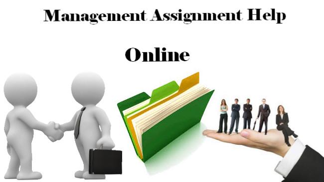 Get Management Assignment Help In The USA