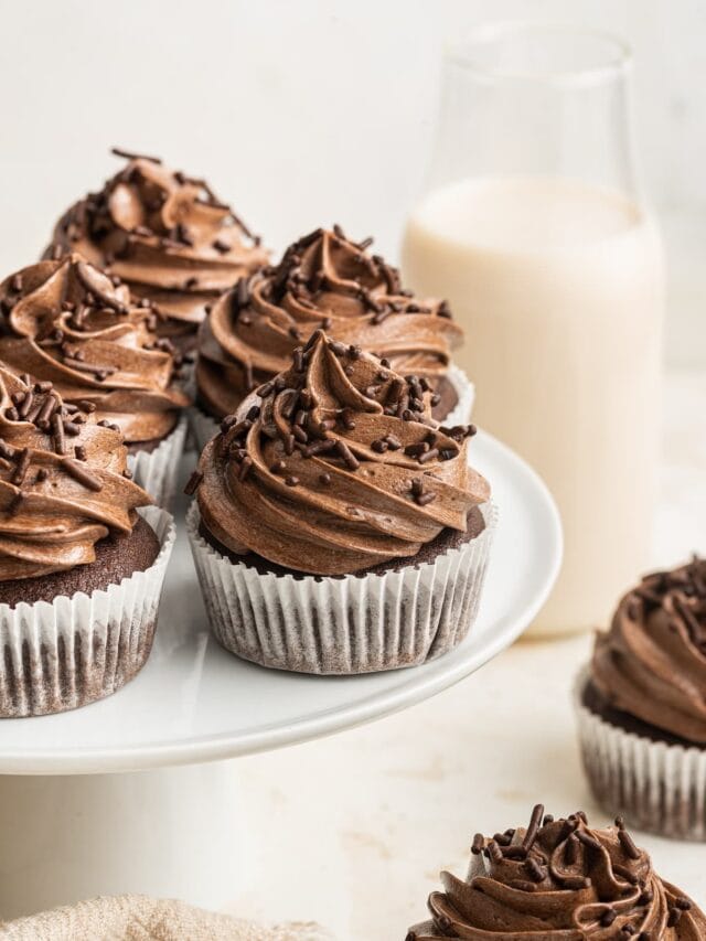 Healthy Chocolate Cupcakes – Eating Bird Food