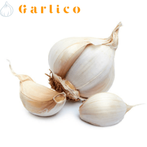 Add depth and complexity to your dishes with elephant garlic.