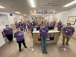 Biolife Near Me: An Overview Of The Importance Of Accessible And Sustainable Biophilic Environments