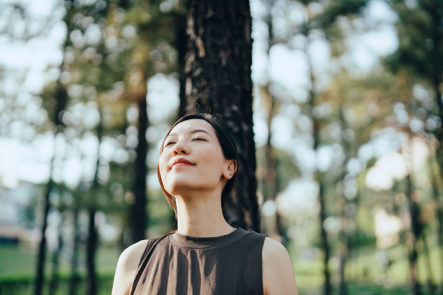 Stressed? No Tension. Listed here Are 5 Methods To Bounce Back From Stress filled Moments — Serene Blog