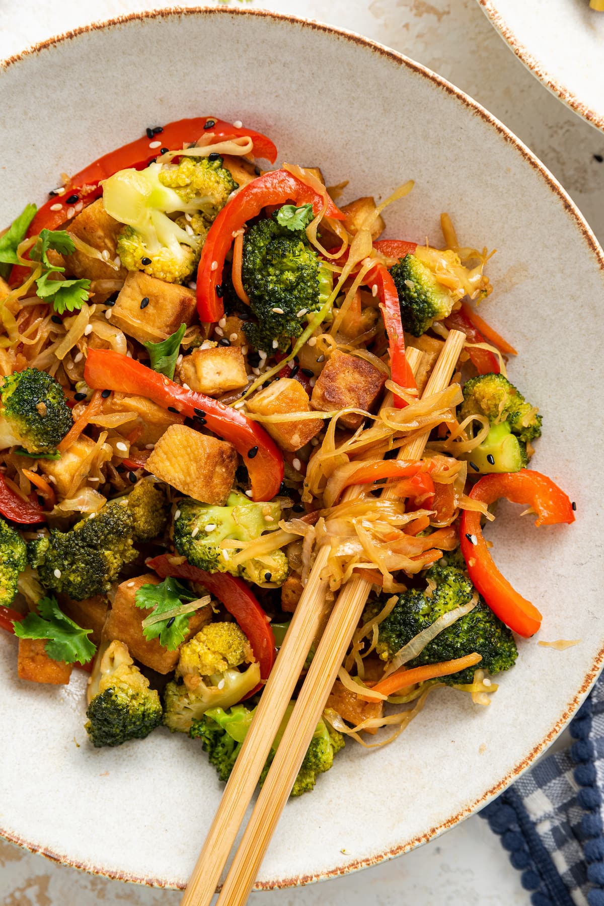 Tofu Cabbage Noodle Bowl – Eating Bird Food