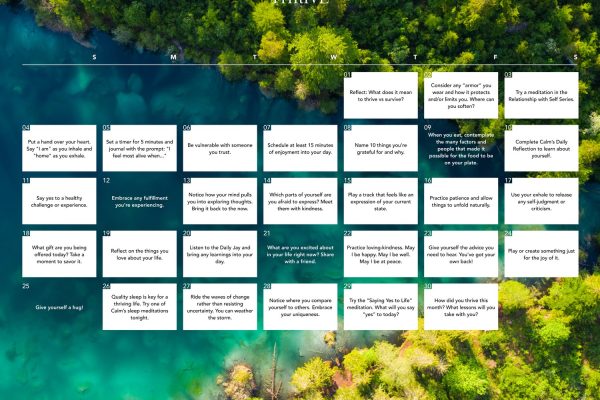 Compact Shifts to Support You Thrive (Not Just Survive) — Tranquil Web site
