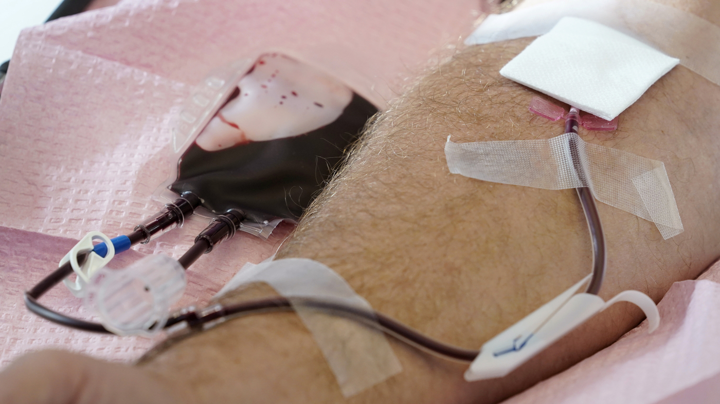 Food and drug administration relaxes blood donation recommendations for gay and bisexual men : NPR