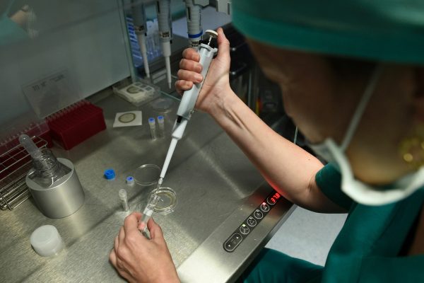 Sperm or egg from any mobile? It is identified as IVG and it holds massive guarantee and peril : Shots