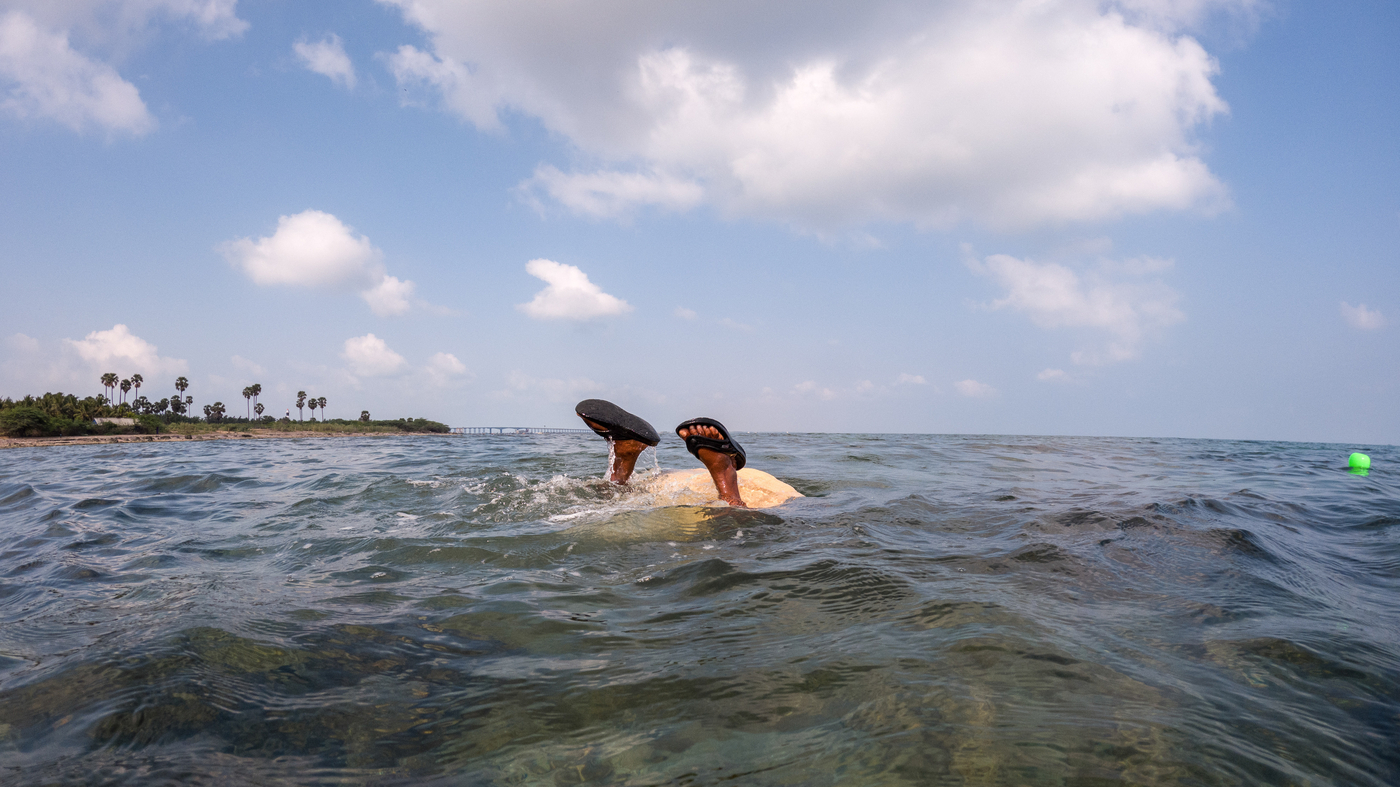 Intrepid women seaweed divers of India face risks yet persist : Goats and Soda : NPR