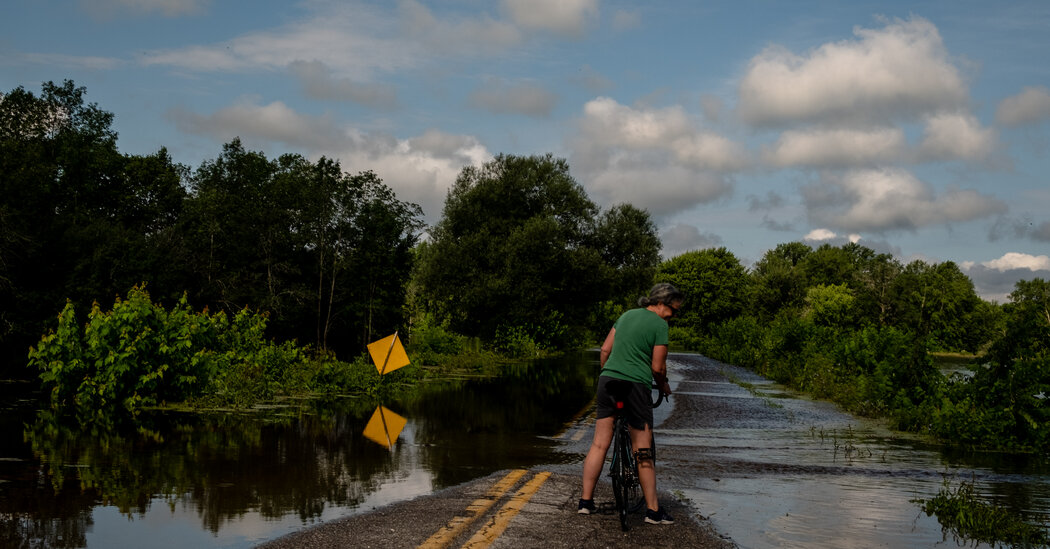 Air Top quality, Heat, Rainfall: How to Check out if It’s Secure to Go Outdoors