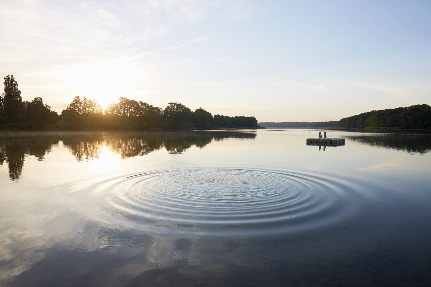 How to quiet your head in stress filled predicaments — Serene Blog site