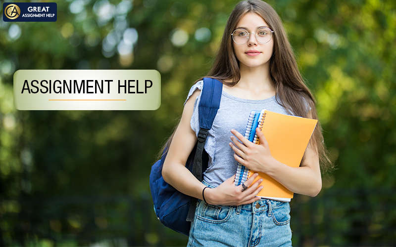Master The Art of Assignment Help With These 7 Tips