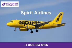 How to call Spirit Airlines from Mexico?