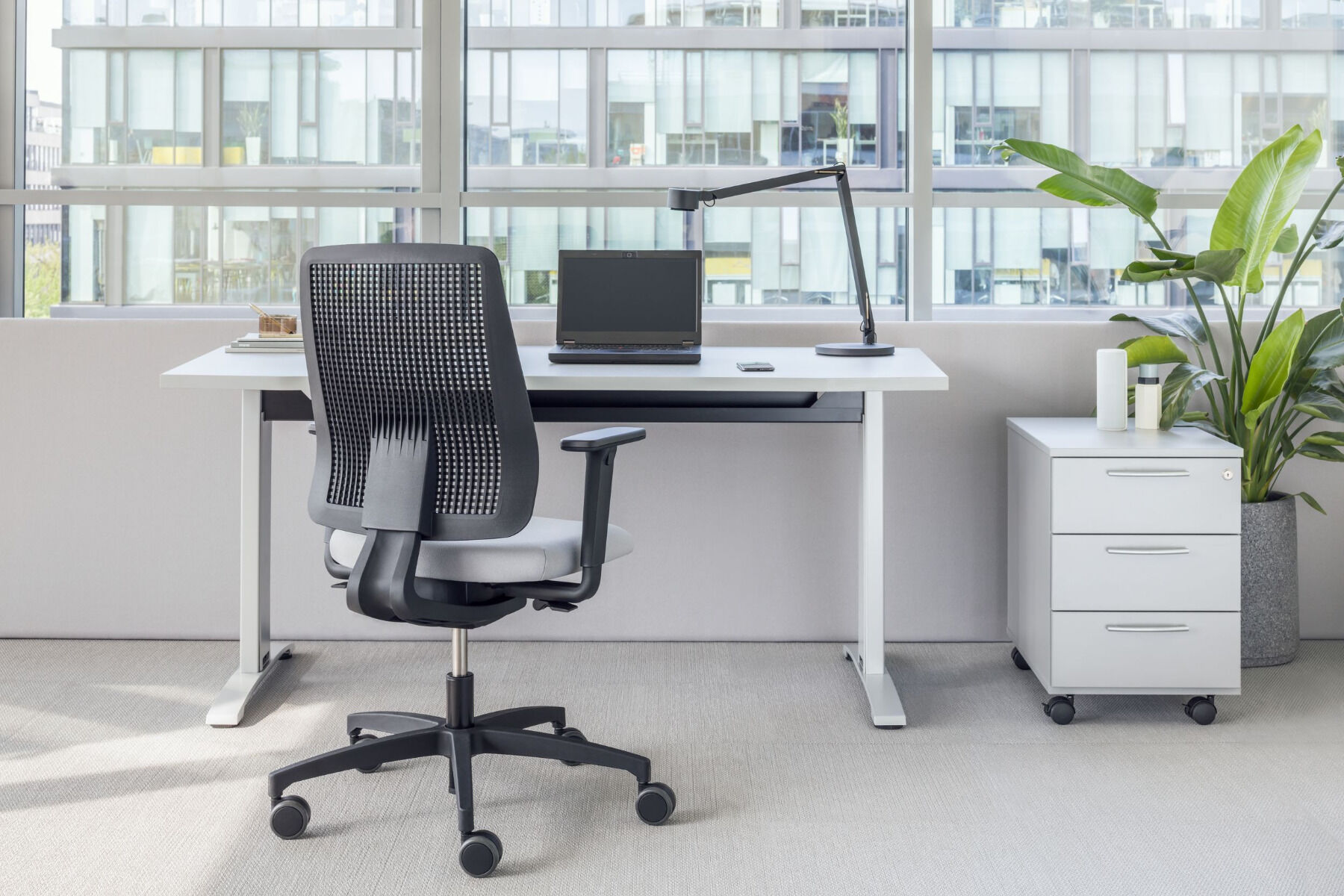 From Back Pain to Bliss: How a Great Office Chair Can Transform Your Health