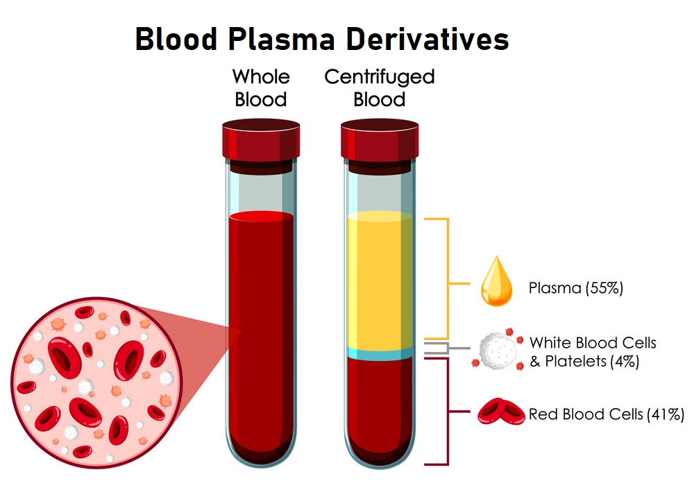 Global Blood Plasma Derivatives Market Share & Size 2022-2030 | Research Report covers Industry Latest Trends