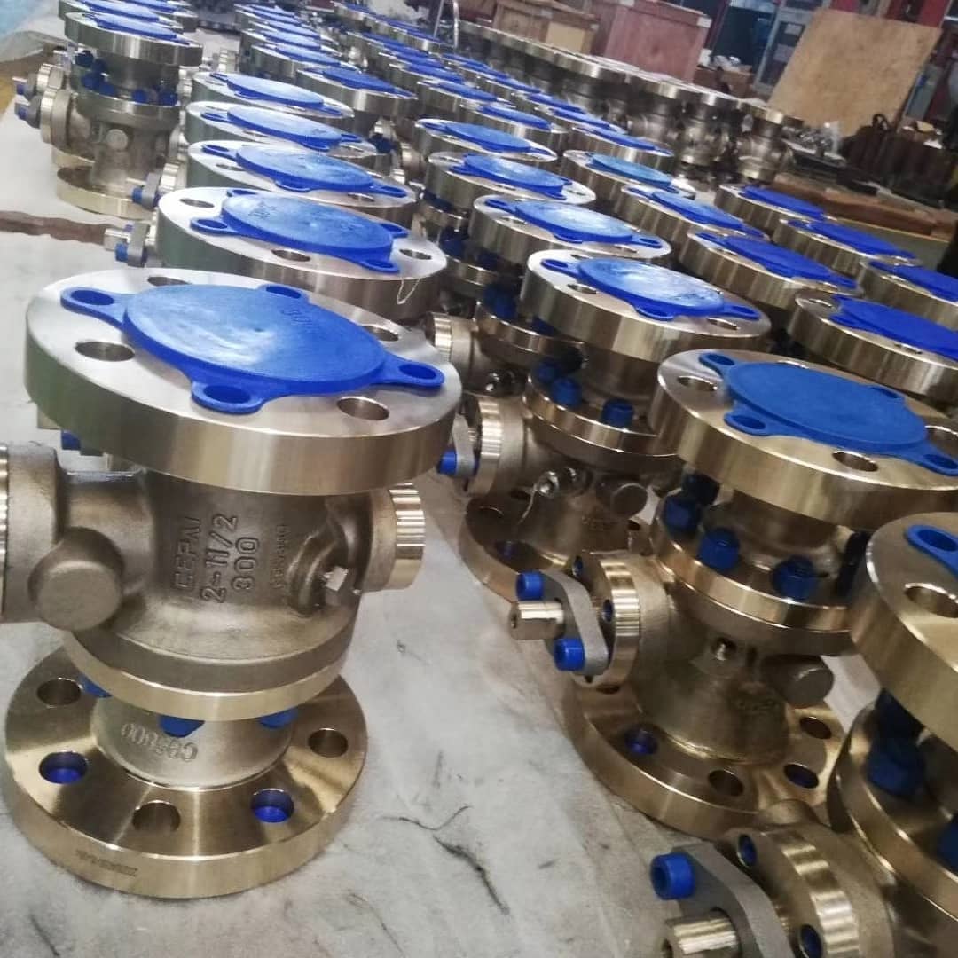 Swing Check Valve Supplier in Colombia