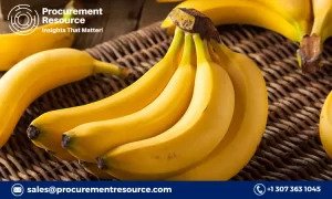 The Impact of Production Costs on Banana Pricing and Profitability