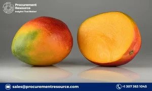 The Mango Industry: Understanding the Production Cost and Its Impact on the Global Market