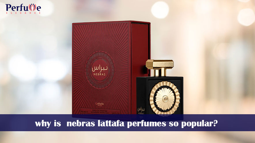 why is nebras lattafa perfumes so popular?