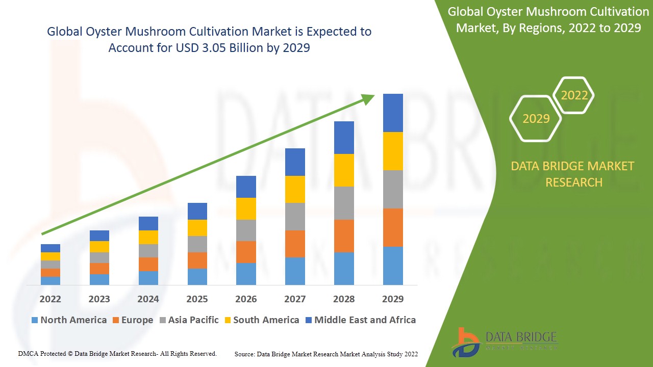 Oyster Mushroom Cultivation Market industry size, share trends, growth, demand, opportunities and forecast by 2029