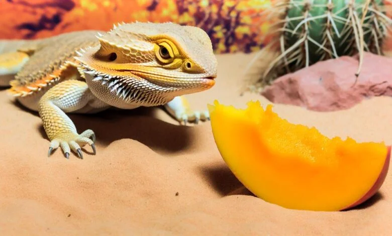 Cultivating Edible Plants for Your Bearded Dragon at Home