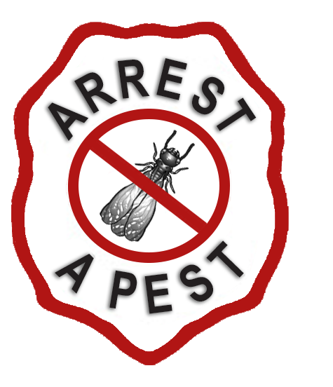 Residential pest control service