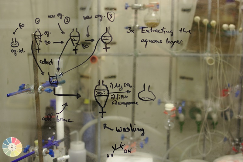 Carbohydrate Synthesis: Understanding the Building Blocks of Life