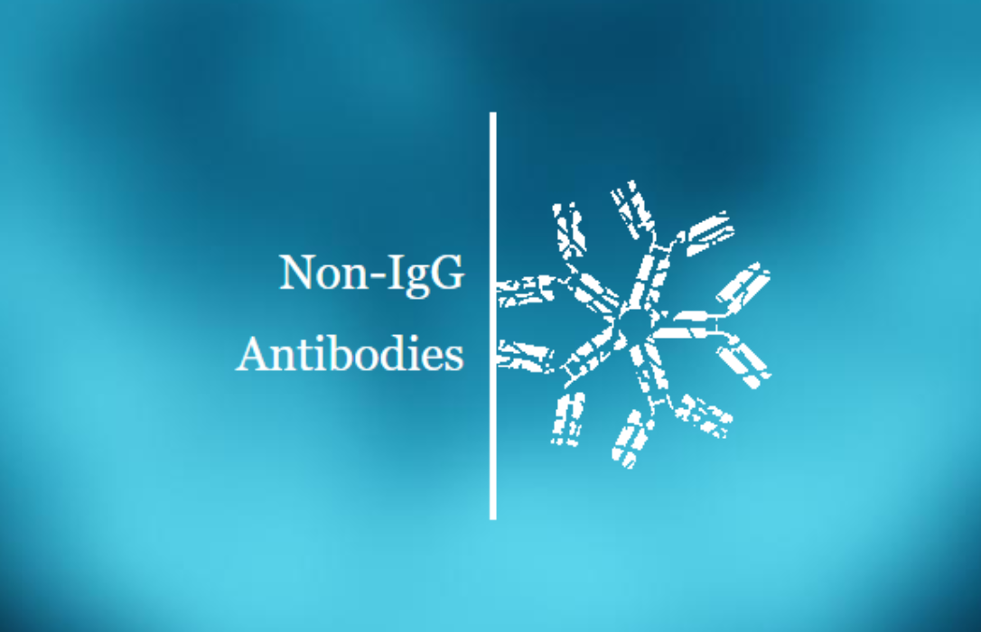 Advancements in Non-IgG Antibody Discovery and Development: Transforming the Future of Therapy