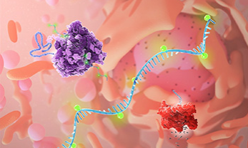 Scientists Use Lipid Nanoparticles to Precisely Target Gene-Editing Tools to the Lung