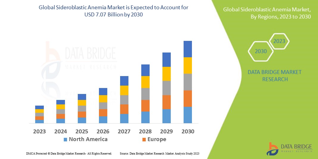 Sideroblastic Anemia Market Size, Share, Industry, Forecast