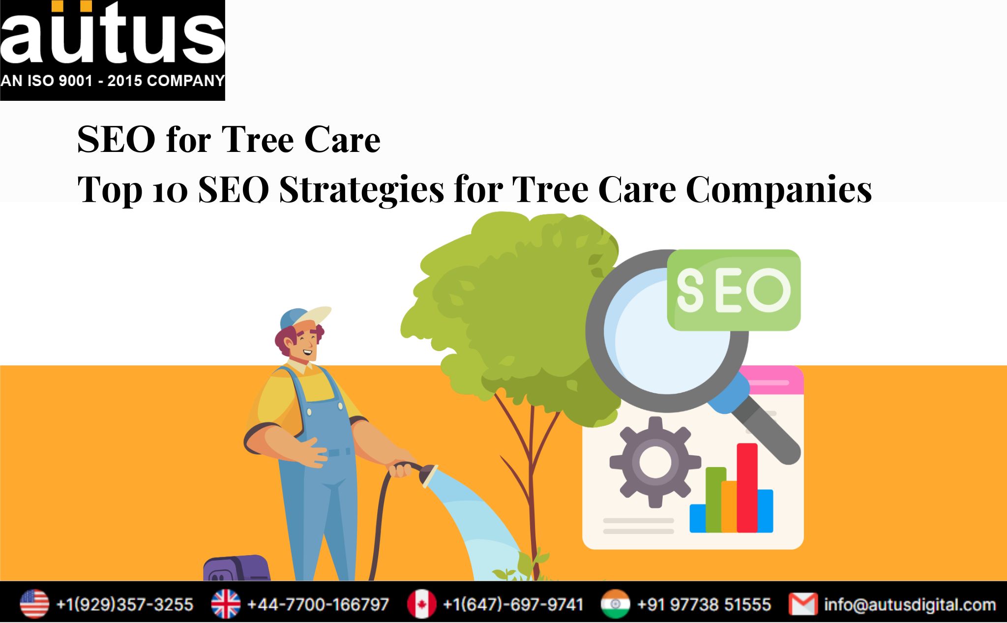 Top 10 SEO Strategies for Tree Care Companies