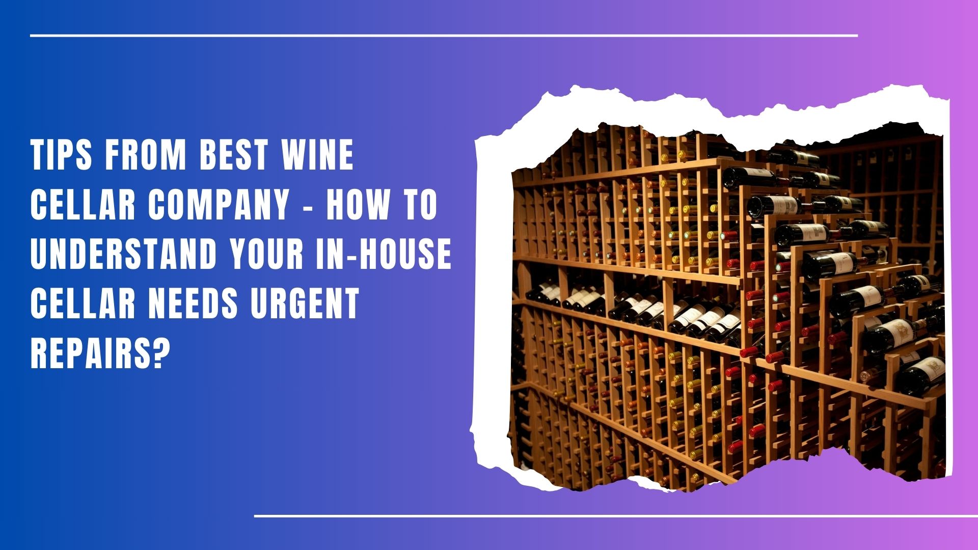 Does Your Wine Collection Need Large Wine Cellar Racks? Let’s See What Wine Experts are Saying