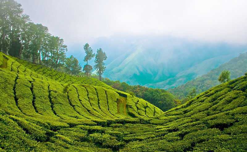 Kerala Tour Packages for Family: 5-day Trip