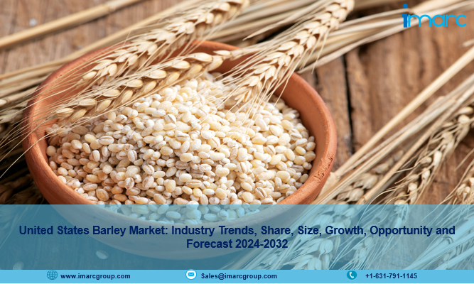 United States Barley Market Outlook, Scope, Growth, Trends and Opportunity 2024-2032