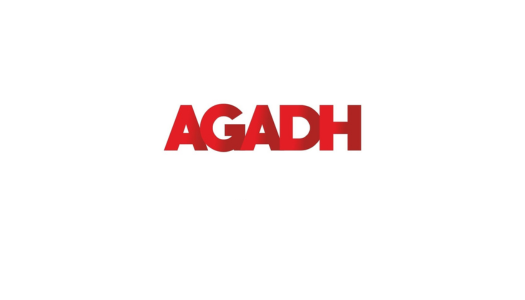 Local SEO Chandigarh: Empowering Local Businesses with Agadh