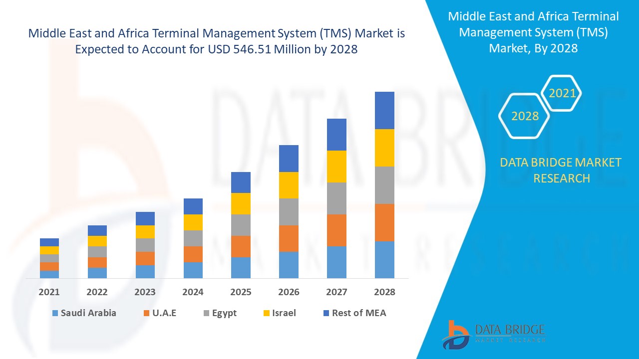 Middle East and Africa Terminal Management System Market Size, Share, Growth | Opportunities,